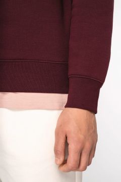 Sweatshirt mit Stehkragen und Reißverschluss für Herren, Foto 8