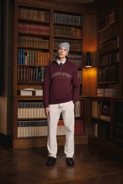 Sweatshirt mit Stehkragen und Reißverschluss für Herren, Foto 5